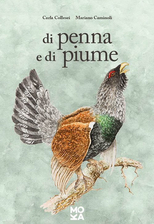 Di penna e di piume | Immagine principale