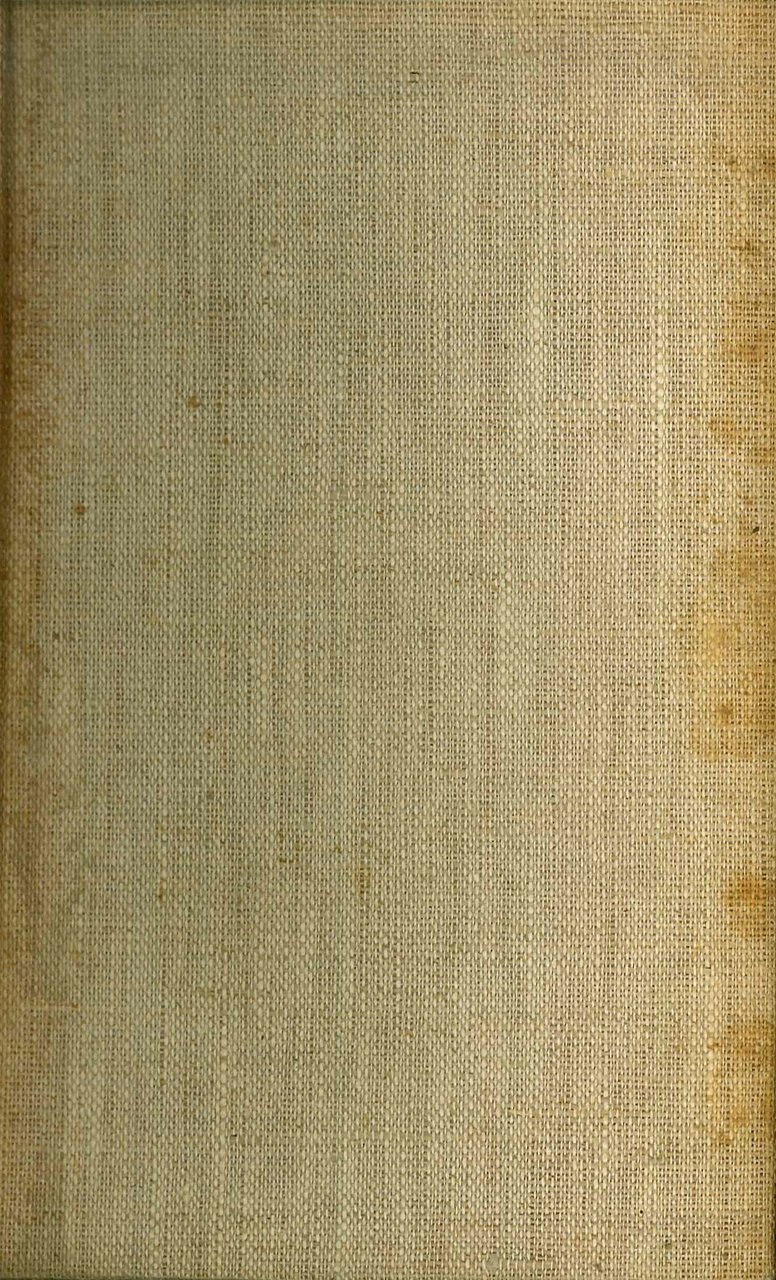 Domani a Te. Romanzo