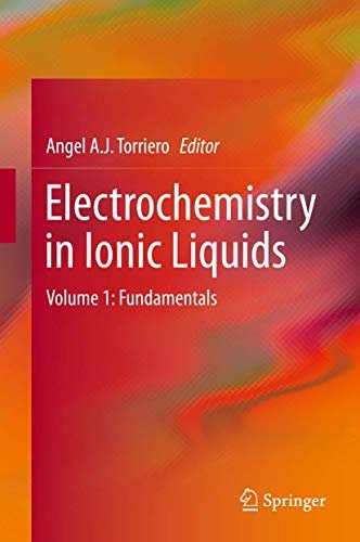 Electrochemistry in Ionic Liquids: Fundamentals: Volume 1: Fundamentals