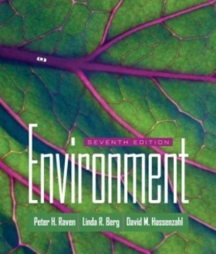 Environment | Immagine principale
