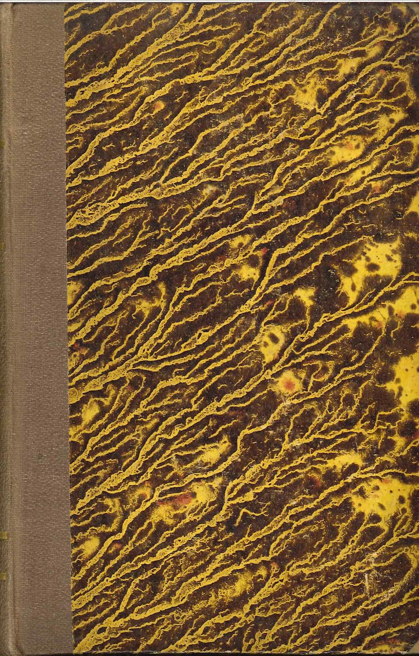 Esempi di Bello Scrivere in Poesia. Scelti e Illustrati. Nuova … | Immagine principale