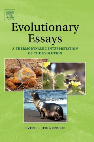 Evolutionary Essays: a Thermodynamic Interpretation of the Evolution | Immagine principale