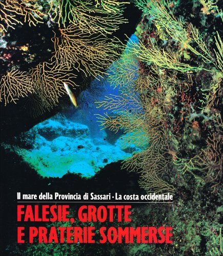 Falesie, grotte e praterie sommerse. Il mare della provincia di Sassari. La costa occidentale