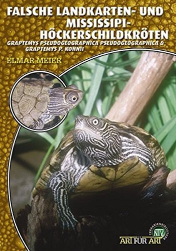 Falsche Landkarten-u.Missisippi-Höckerschildkröte: Graptemys pseudogeographica pseudogeographica & Graptemys P. Kohnii