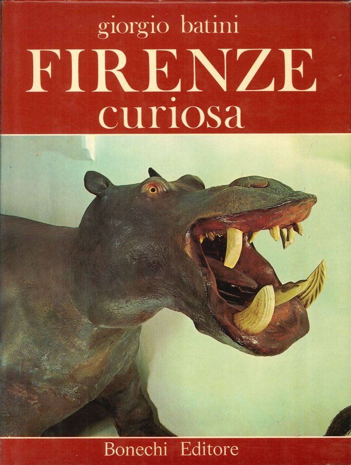 Firenze Curiosa | Immagine principale