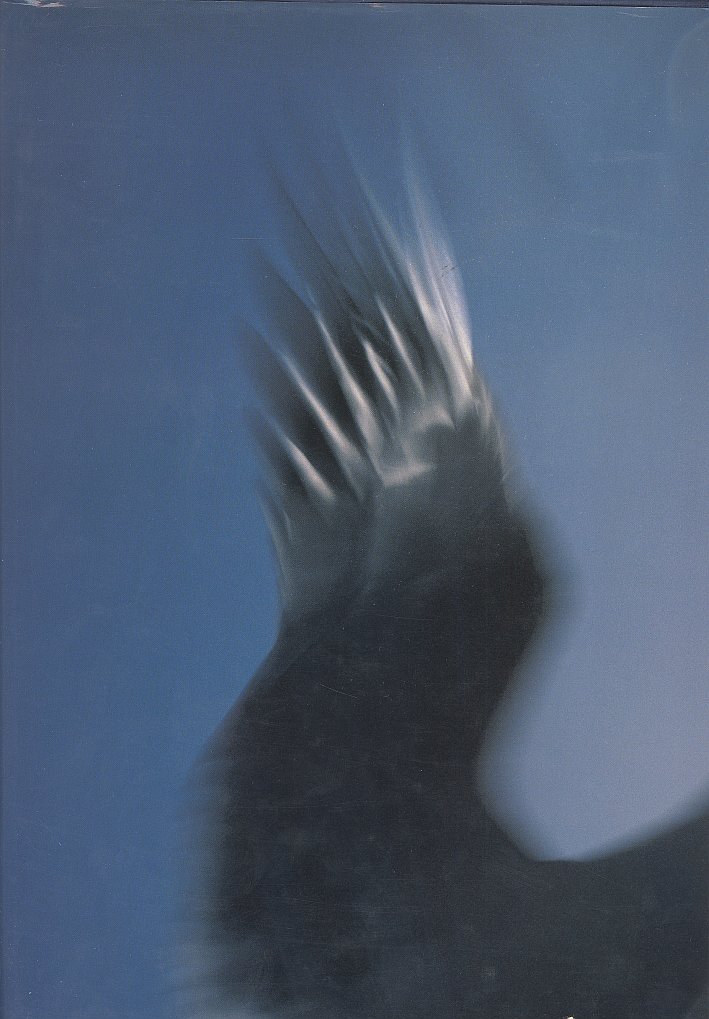 Fliegen | Immagine principale