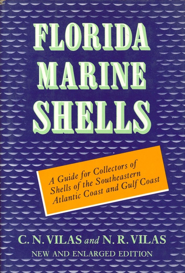 Florida Marine Shells. A Guide For Collectors of Shells of … | Immagine principale