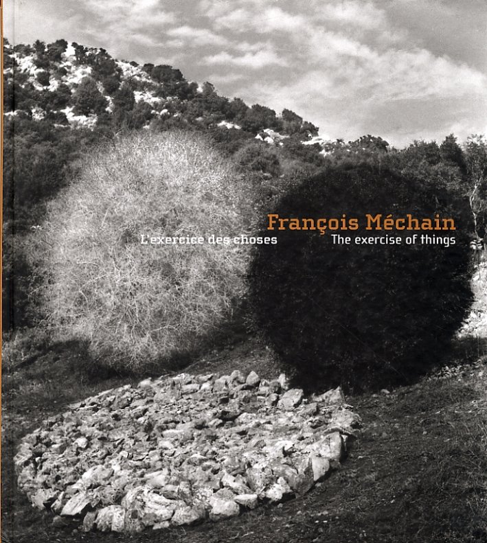 François Méchain, l'Exerice des Choses. The exercise of Things