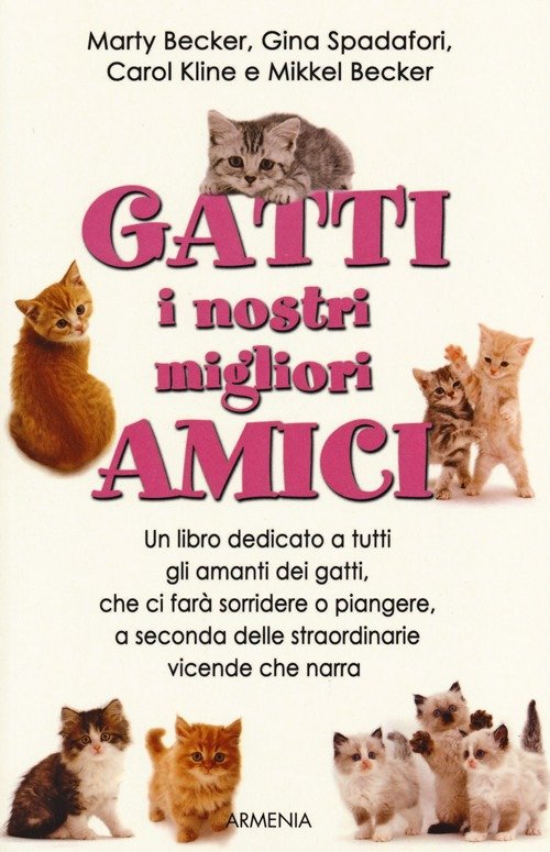 Gatti, i nostri migliori amici | Immagine principale