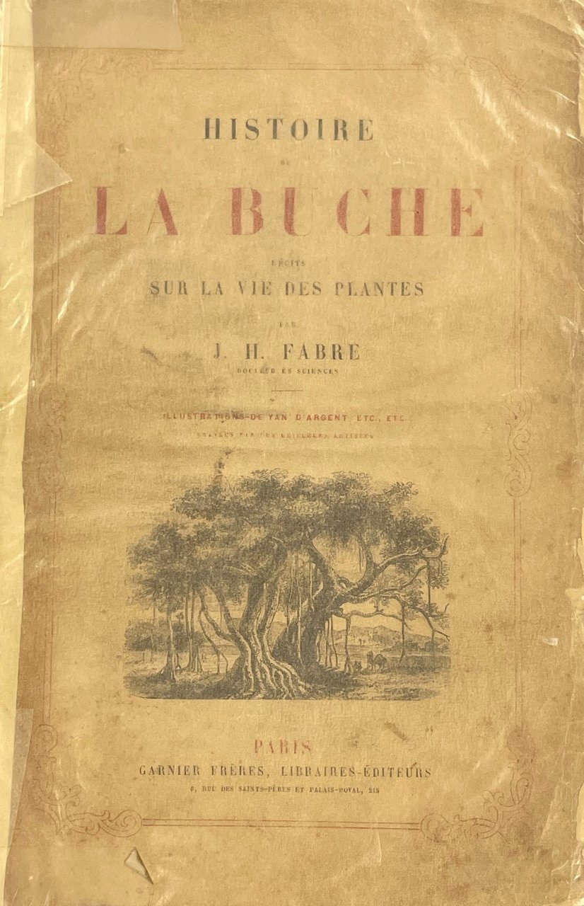 Histoire de la buche. Recits sur la vie des plantes. | Immagine principale