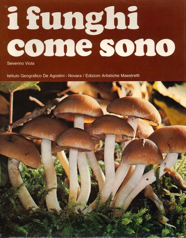 I funghi come sono, Novara, Istituto Geografico De Agostini, 1976