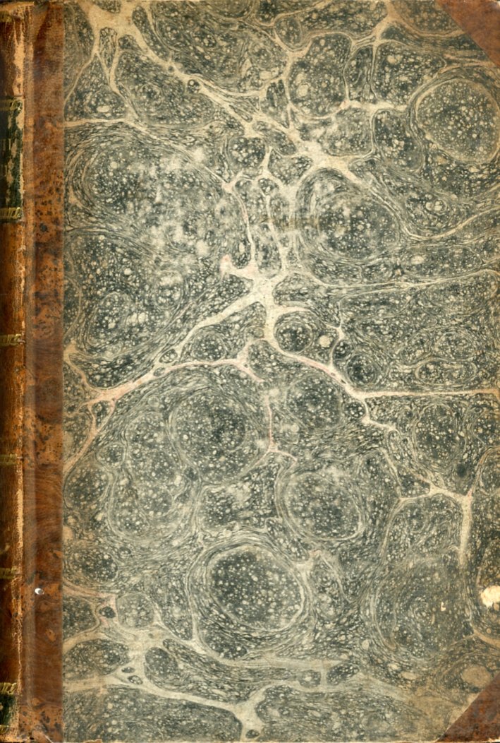 I Libri Poetici della Bibbia Tradotti dall'Ebraico Originale e Adattati …