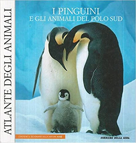 I Pinguini e gli Animali del Polo Sud | Immagine principale