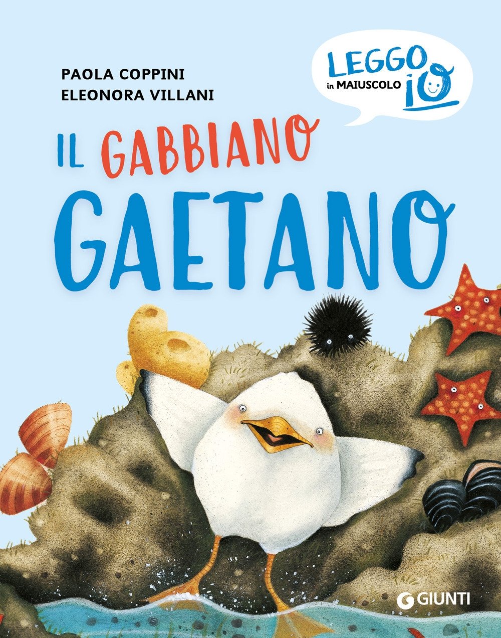 Il gabbiano Gaetano | Immagine principale