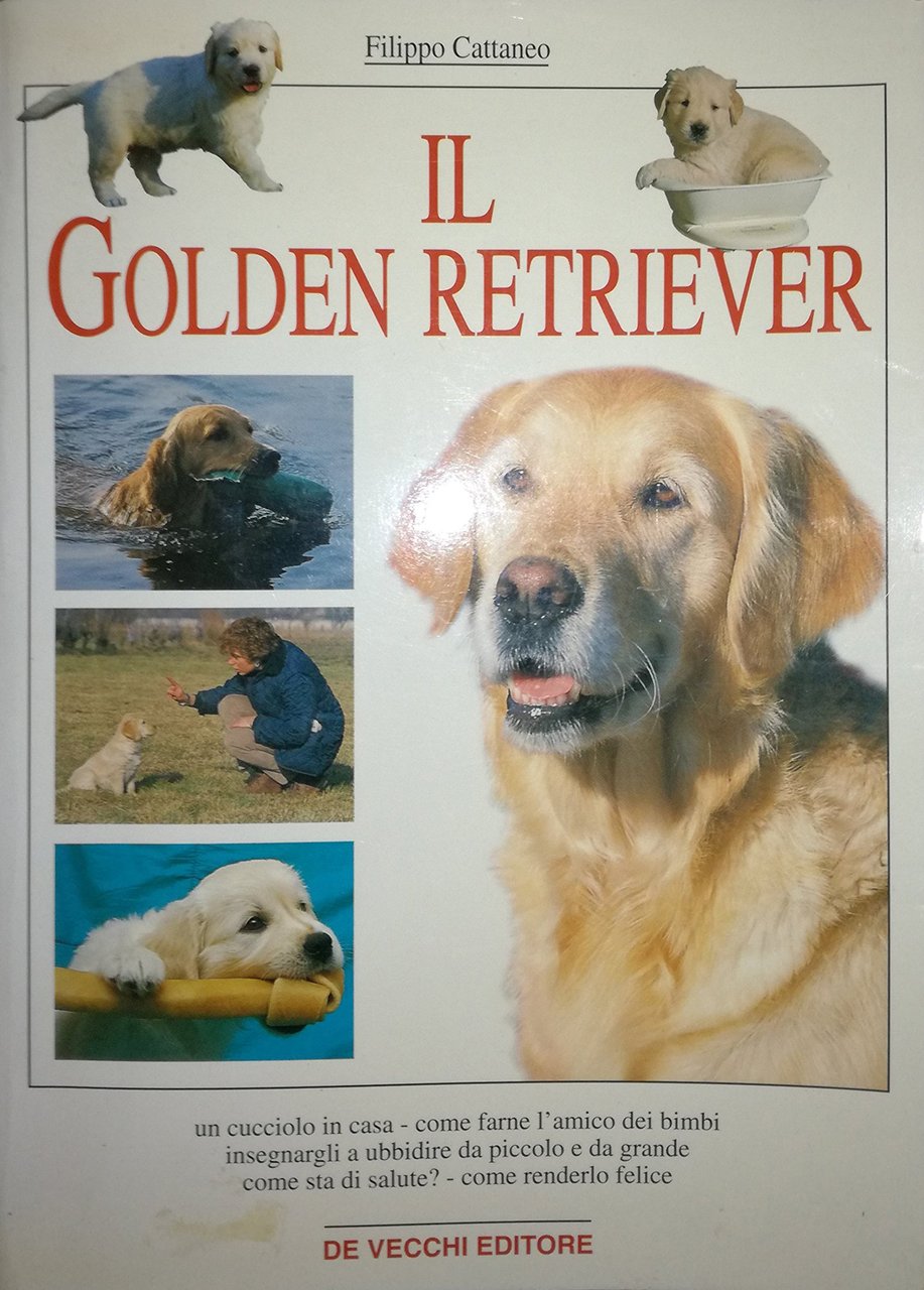 Il golden retriever