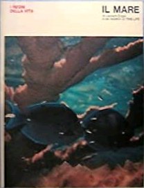 Il Mare | Immagine principale