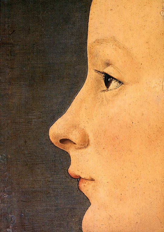 Il Museo Poldi Pezzoli a Milano. Guida per i visitatori