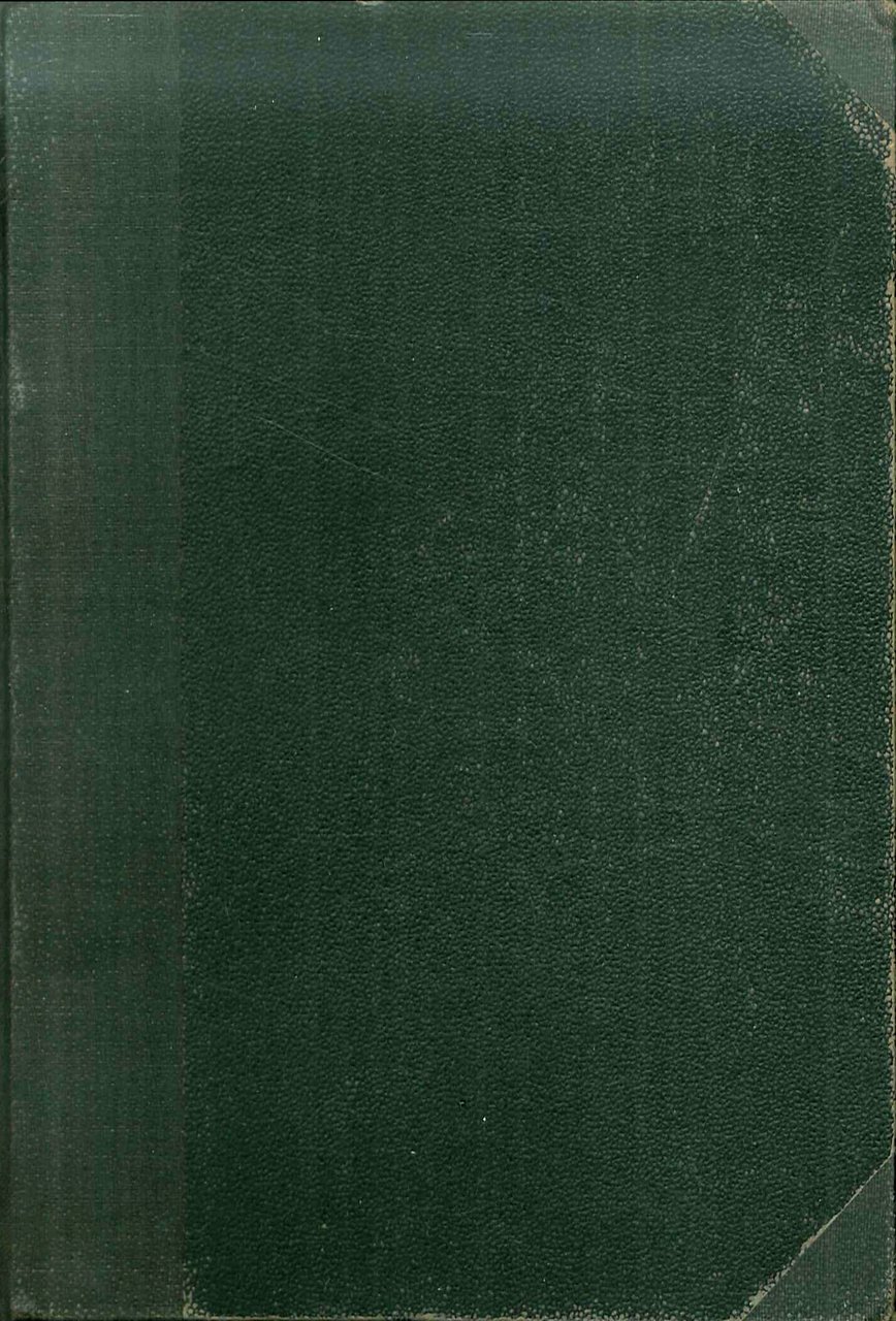 Il romanzo della fanciulla