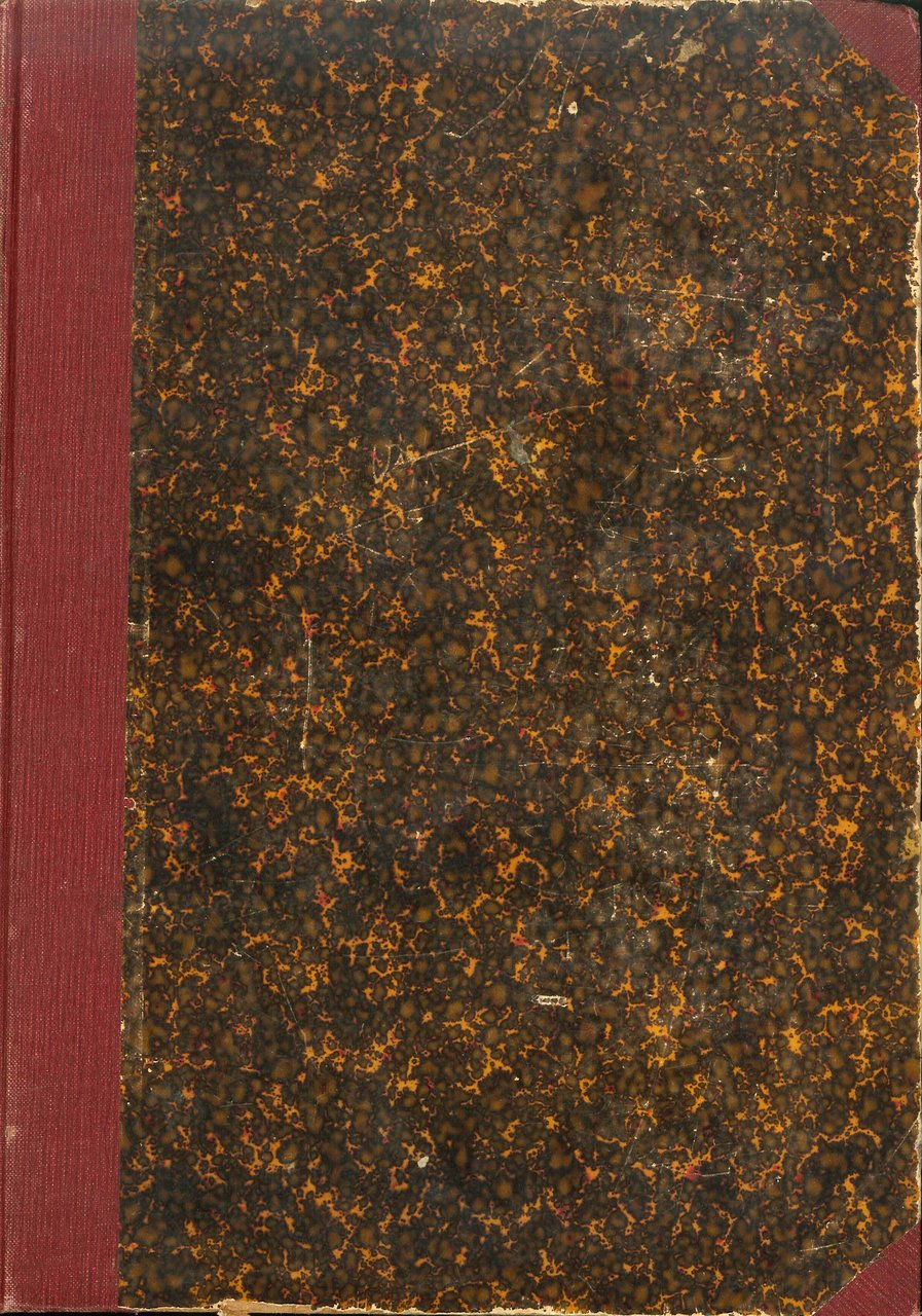 Il Secolo XIX nella Vita e nella Cultura dei Popoli. … | Immagine principale