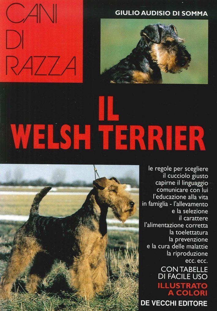 Il welsh terrier