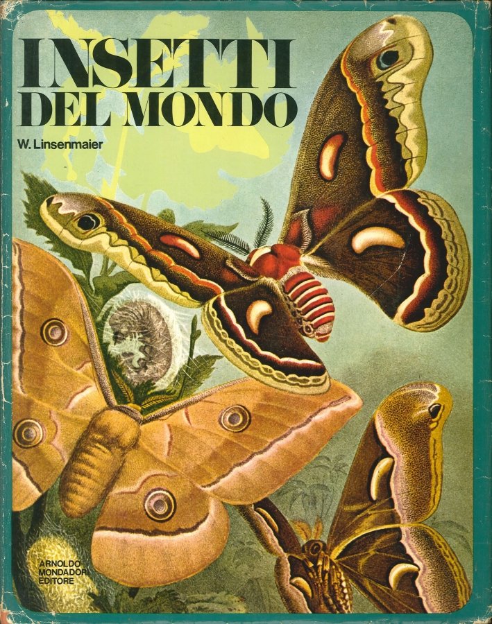 Insetti del Mondo
