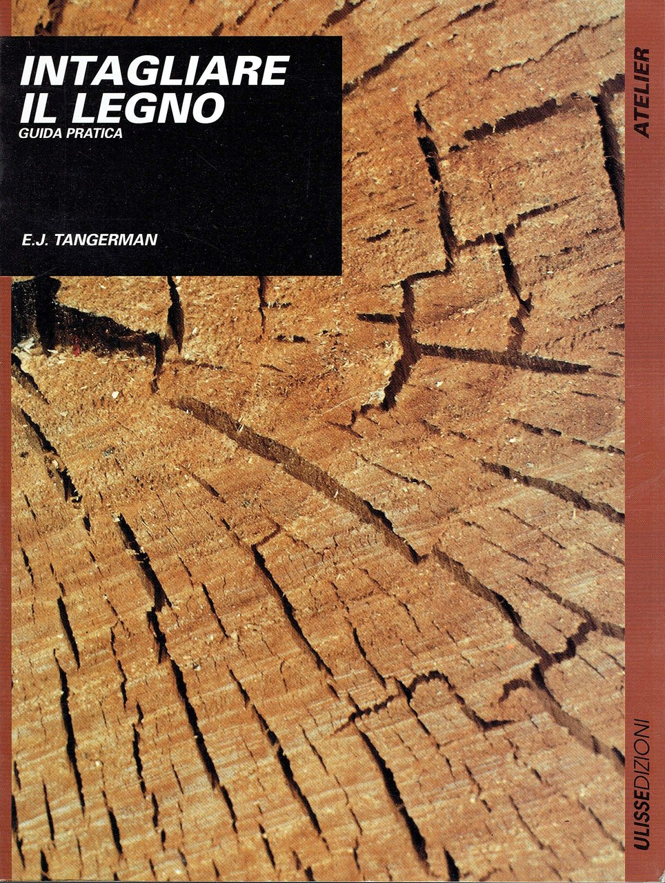 Intagliare il legno. Guida pratica | Immagine principale