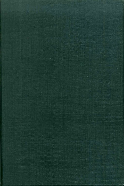 L'Eneide in versi italiani di F. Vivona con note di C. Cesarini e M. Fermi e riassunto delle parti omesse.