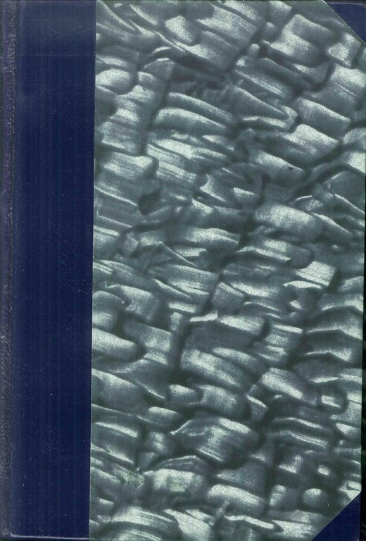 L' Istria riconosciuta : manoscritto autografo del Civico archivio diplomatico di Trieste pubblicato per cura di Pietro Tomasin