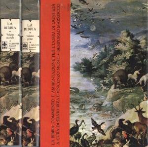 La Bibbia. Commento e ambientazione per l'iuomo di ogni età