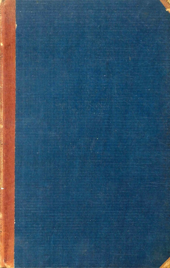 La cacciata del tiranno Gualtieri accaduta l'anno 1343 | Immagine principale
