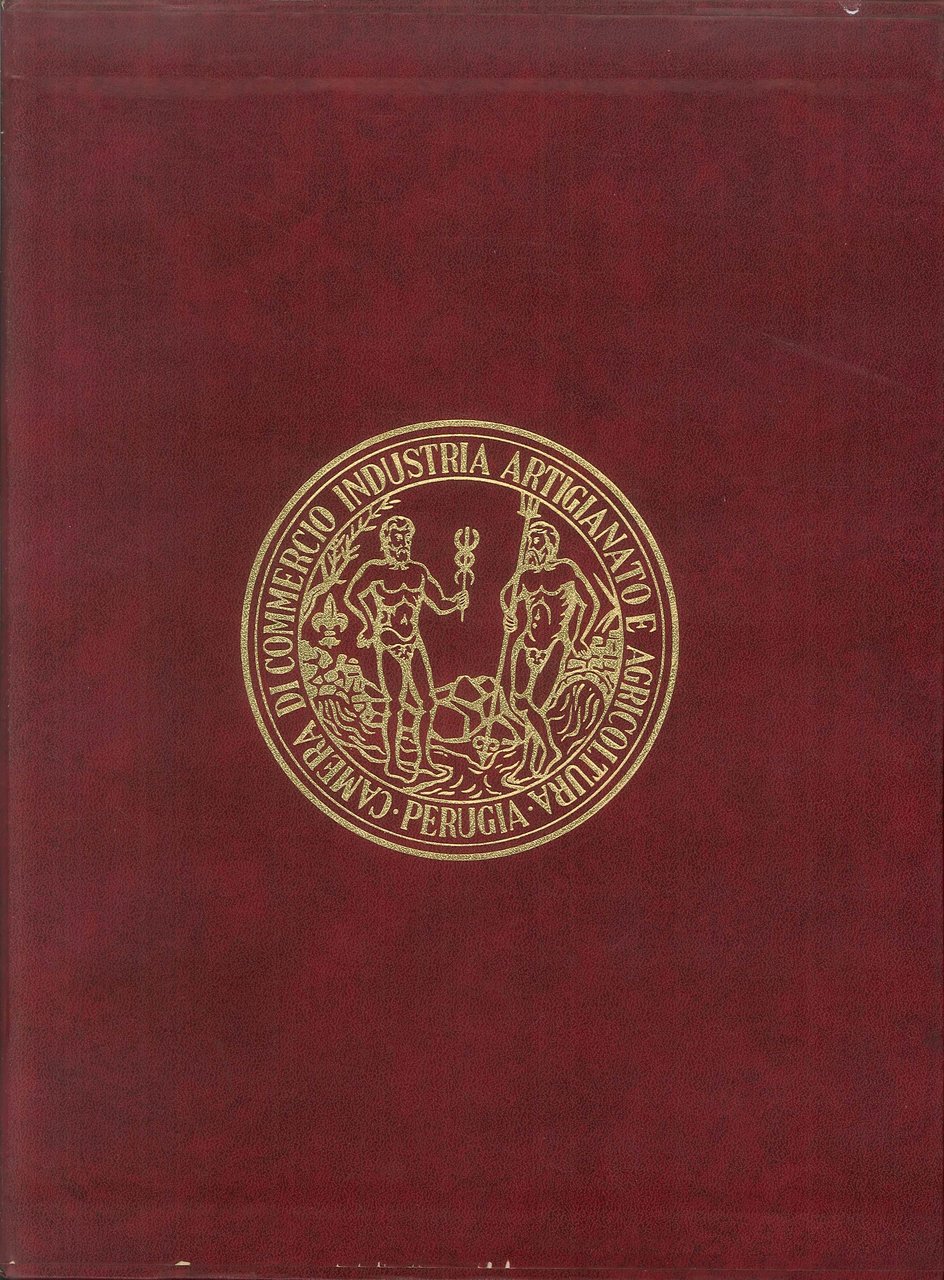 La Camera di Commercio di Perugia 1835-1995. Centosessant'Anni di Esperienza … | Immagine principale