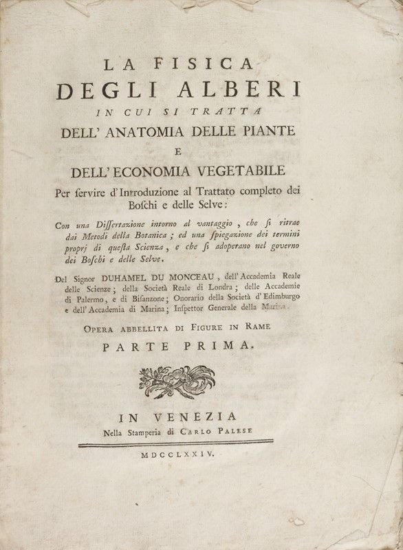 La Fisica degli Alberi in Cui Si Tratta dell'Anatomia delle …