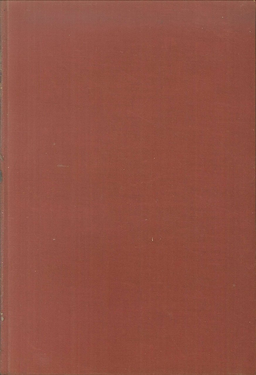 La giostra delle illusioni | Immagine principale