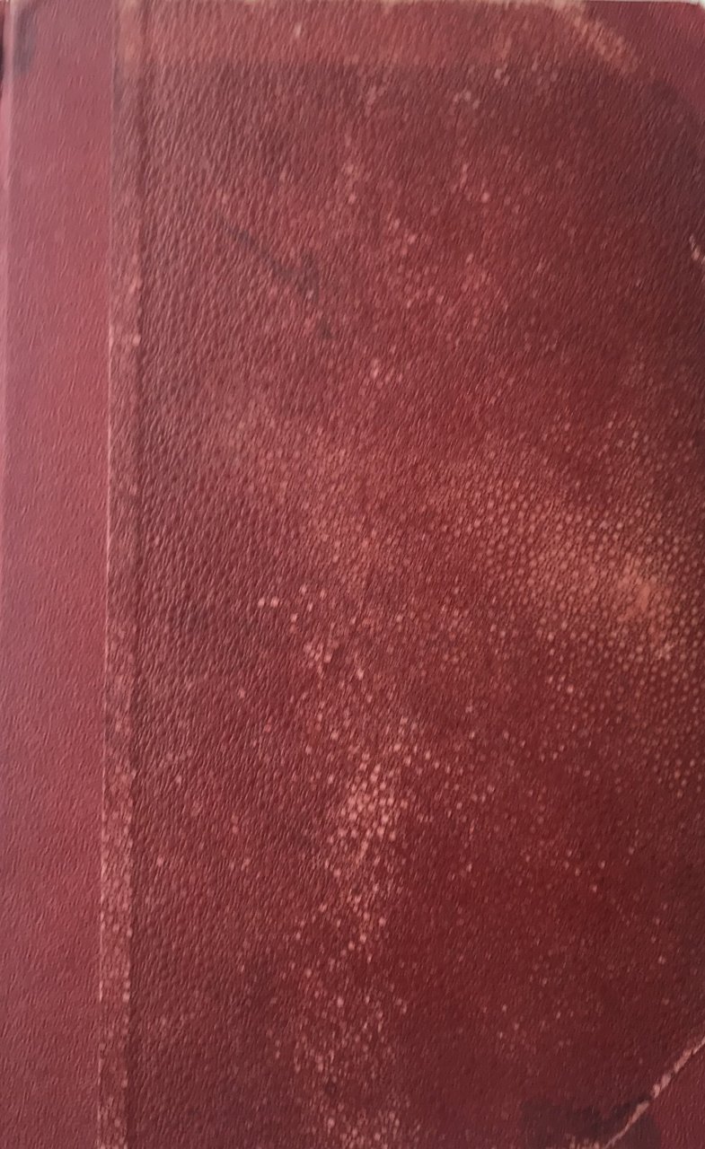 La moglie di sua eccellenza. Romanzo | Immagine principale