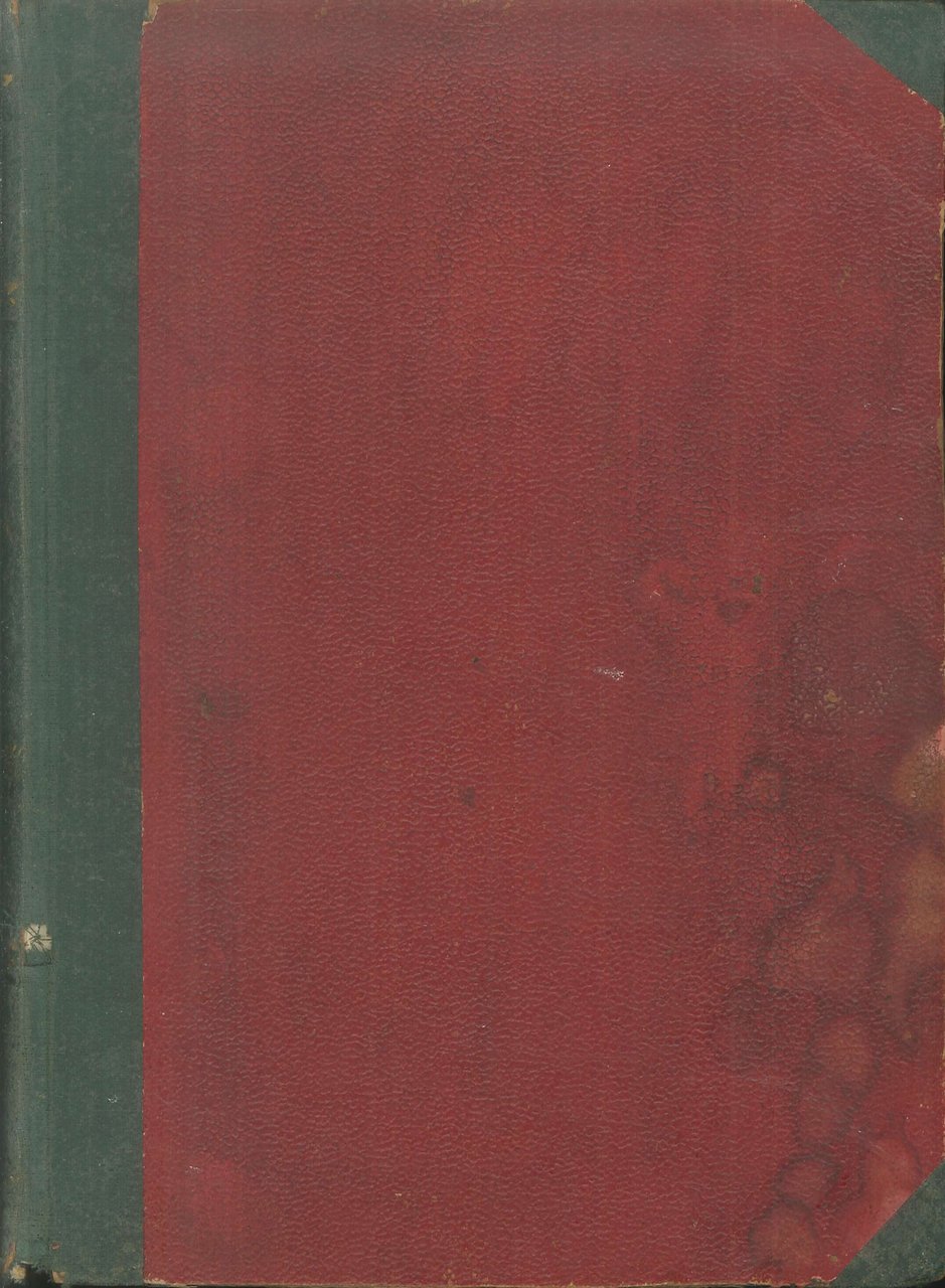 La montanara. Romanzo