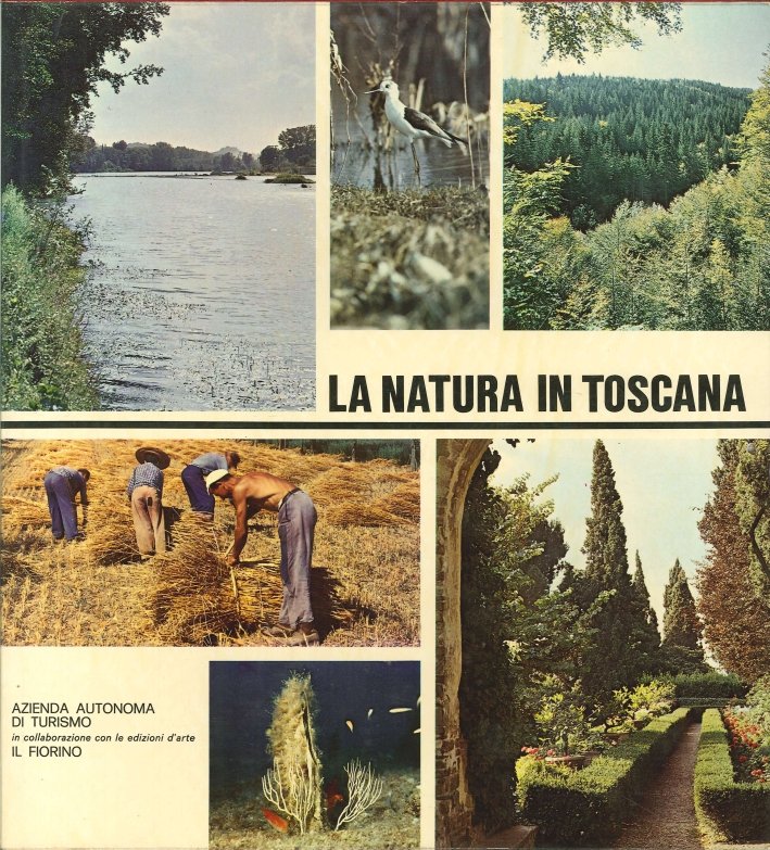 La Natura Morta in Toscana. Flora-Fauna-Agricoltura | Immagine principale