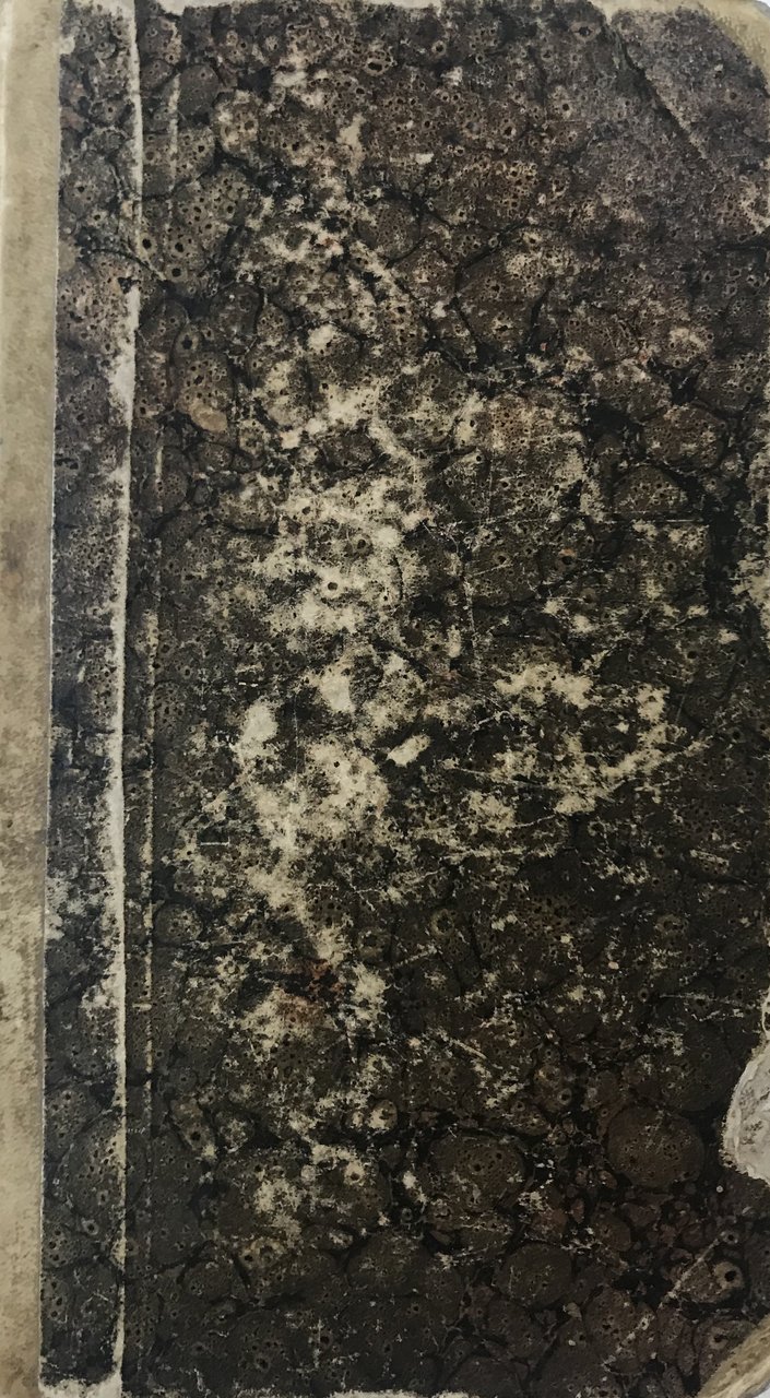 La Repubblica italiana del 1849. Suo processo.