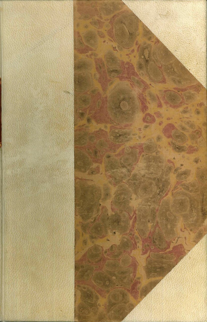 Le arti figurative nella storia d'Italia. Il Medio Evo.