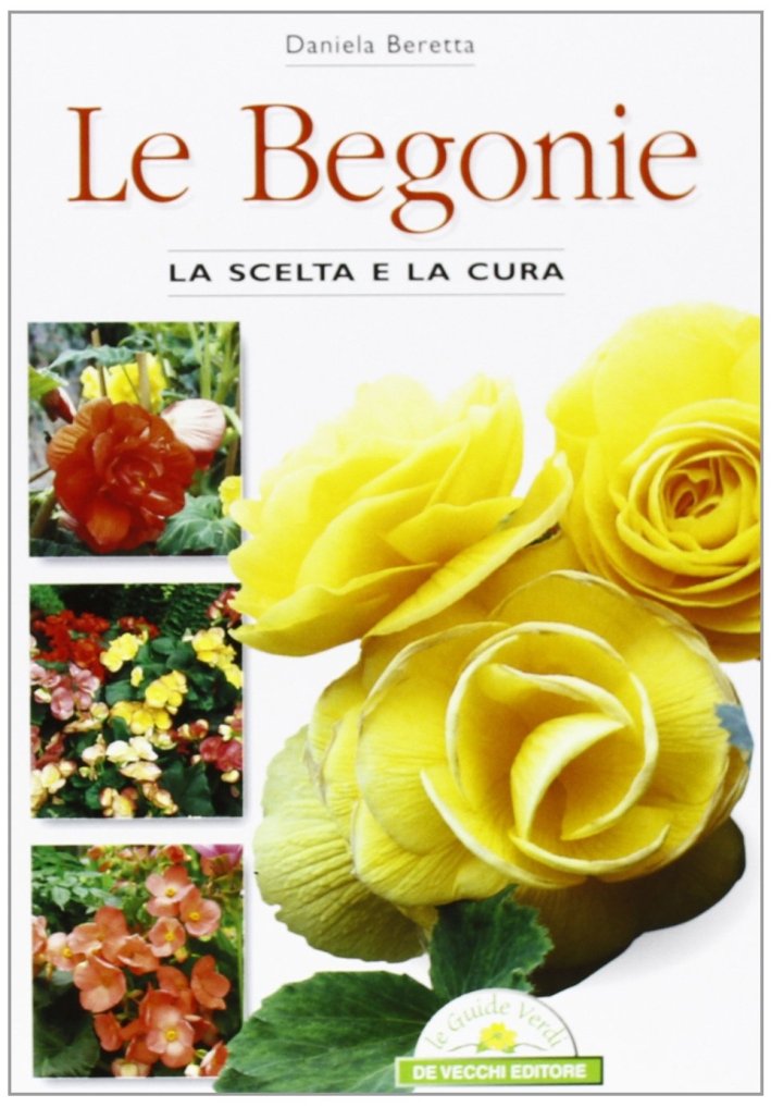 Le begonie