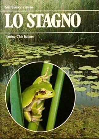 Lo stagno | Immagine principale