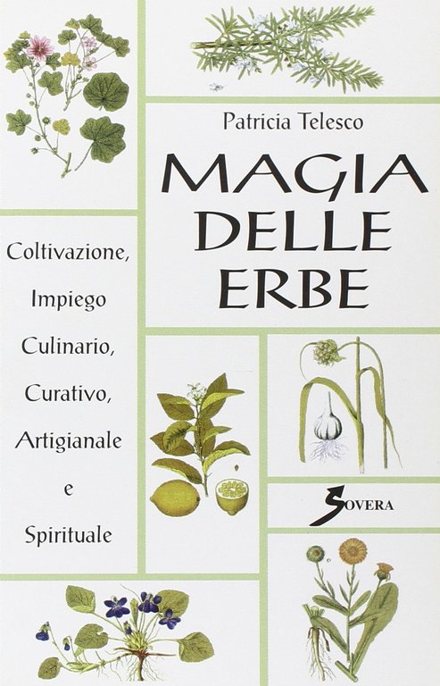 Magia delle erbe