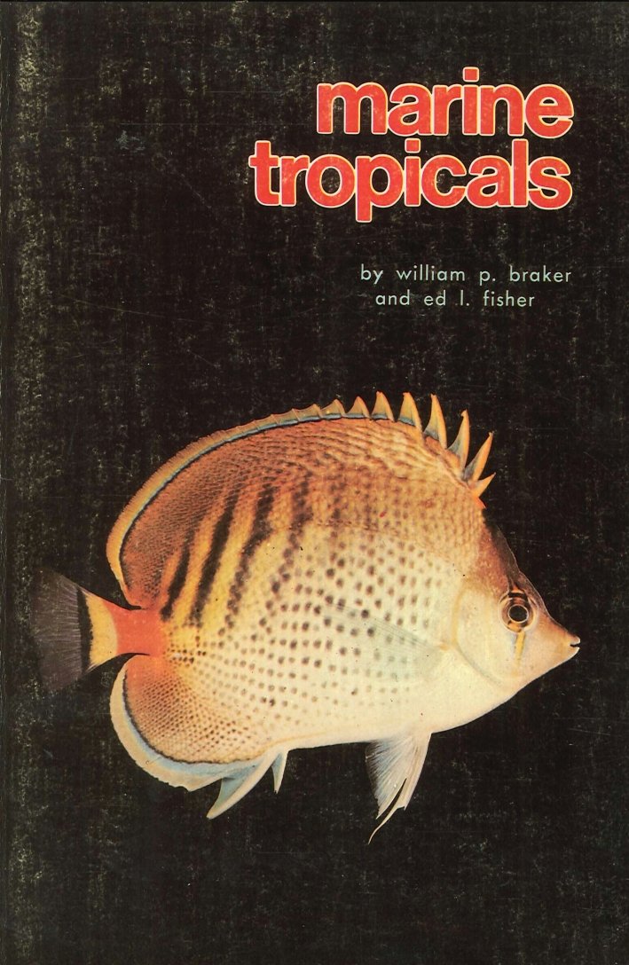 Marine Tropicals | Immagine principale