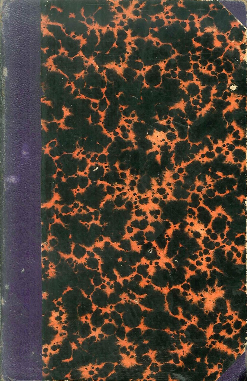 Meditazioni Storiche