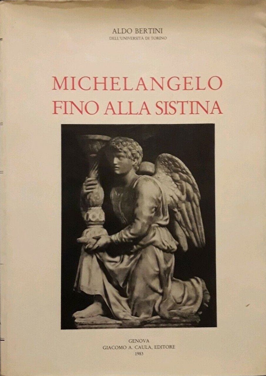 Michelangelo fino alla Sistina