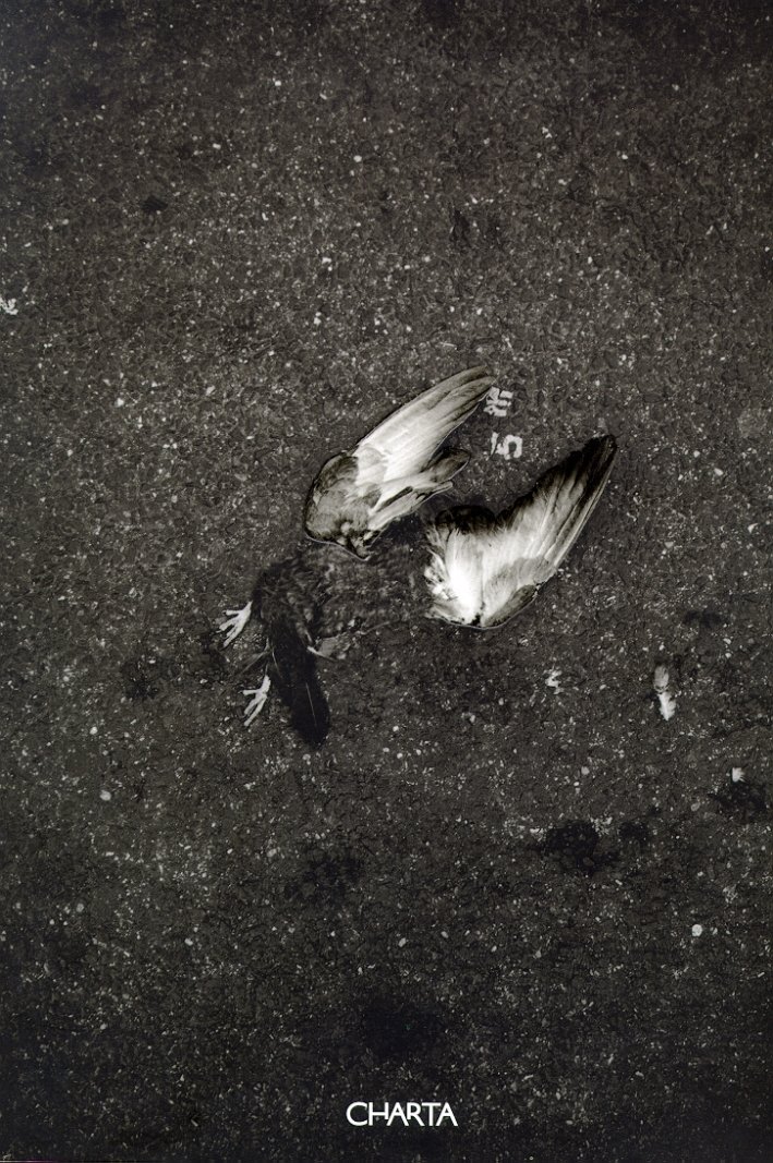 Moreno Gentili. NYC, New York revisited