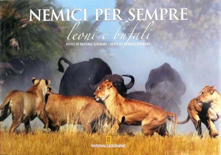 Nemici per sempre. Leoni e bufali