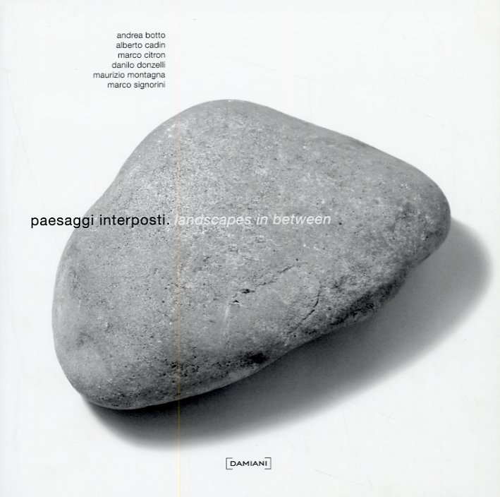 Paesaggi interposti. Landscapes in between, Bologna, Damiani, 2008