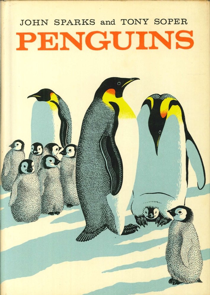 Penguins | Immagine principale