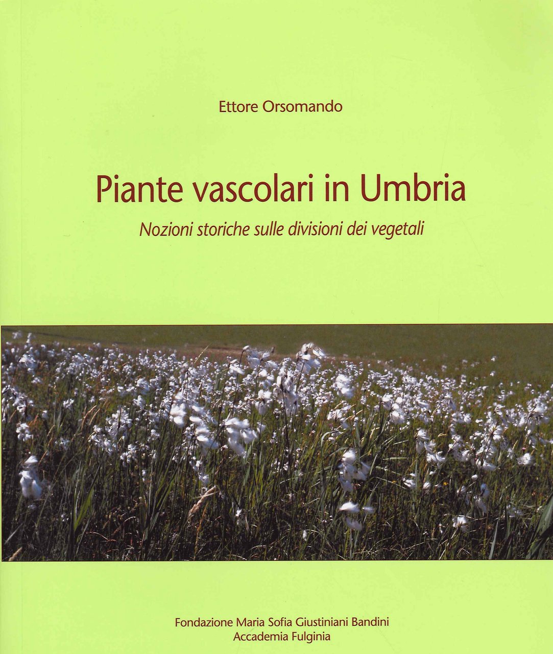 Piante Vascolari in Umbria. Nozioni Storiche sulle Divisioni dei Vegetali