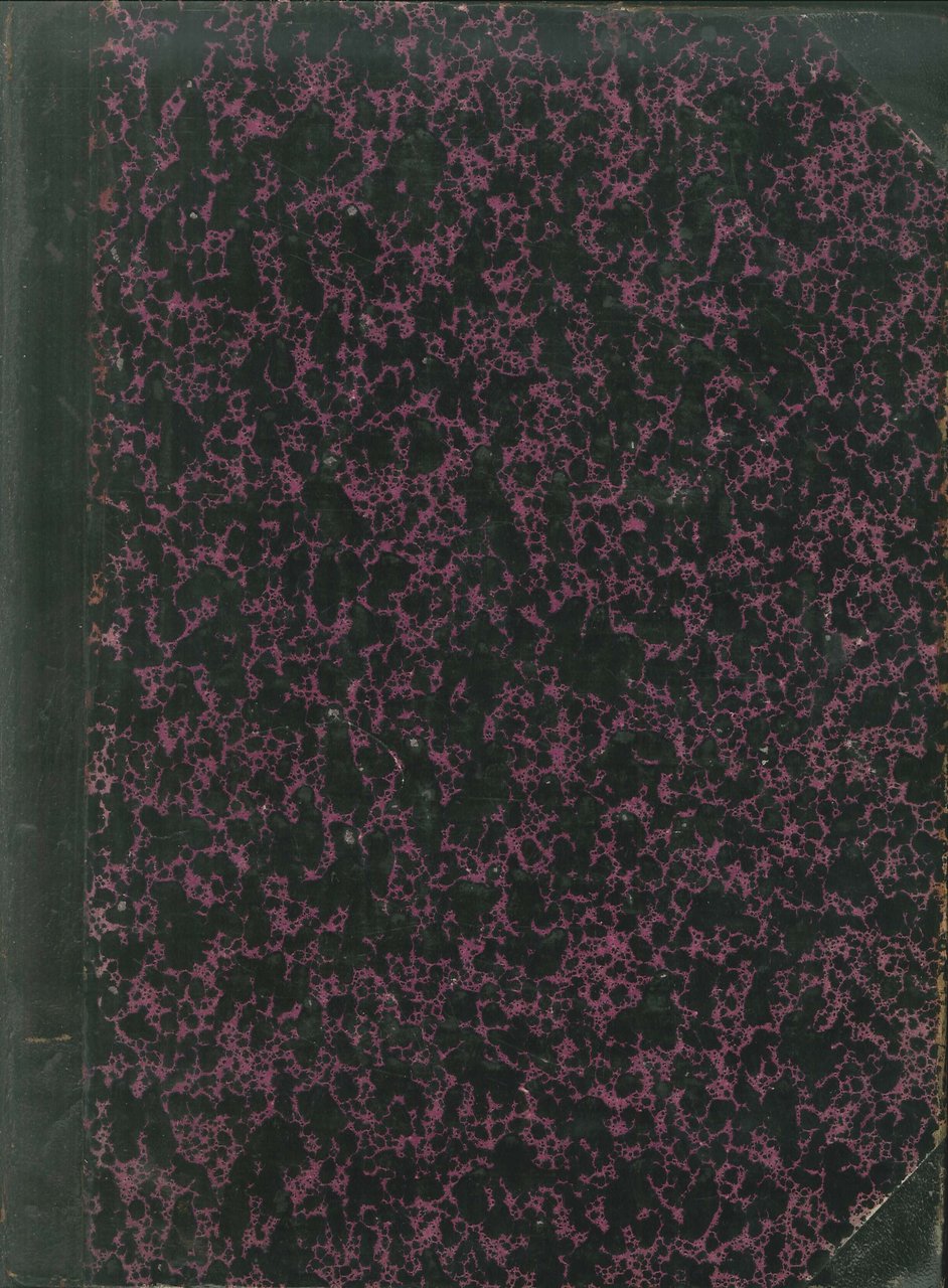 Raccolta delle Leggi Ordinanze e Regolamenti Speciali per Trieste Pubblicata …